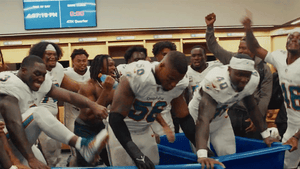 111025_miami_dolphins_primary