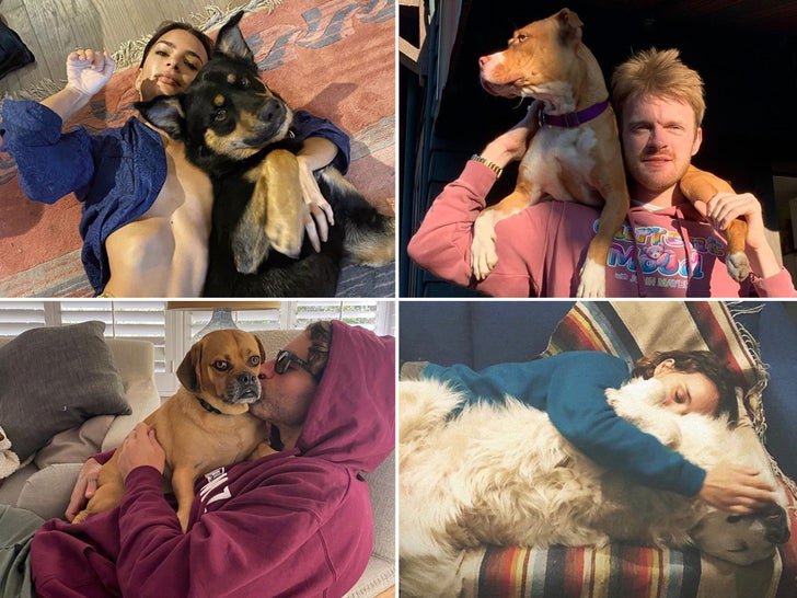 Stars Isolating With Their Pets -- Cute Company!