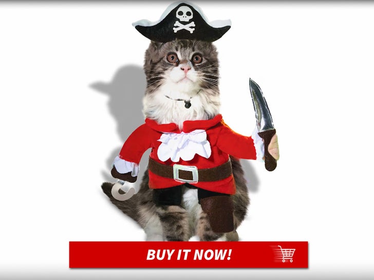 Pirate-Costume-for-Cats-MAIN