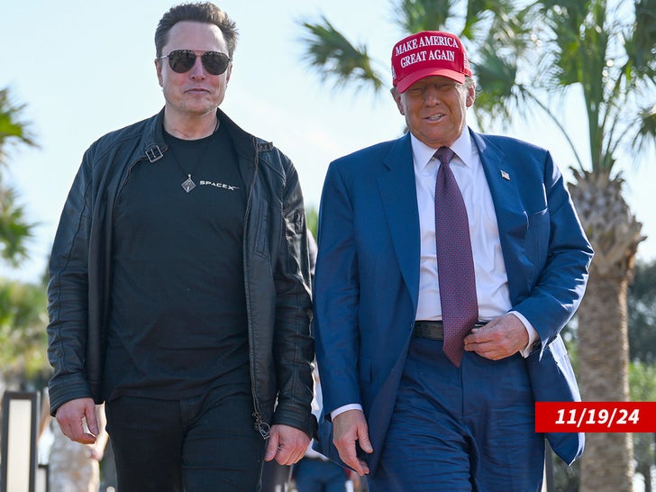 Elon Musk Donald Trump recentemente