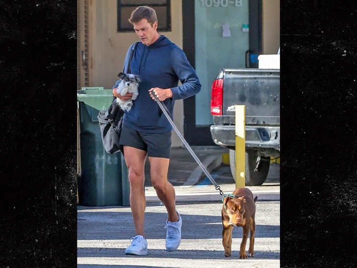 tom brady and dogs backgrid 2