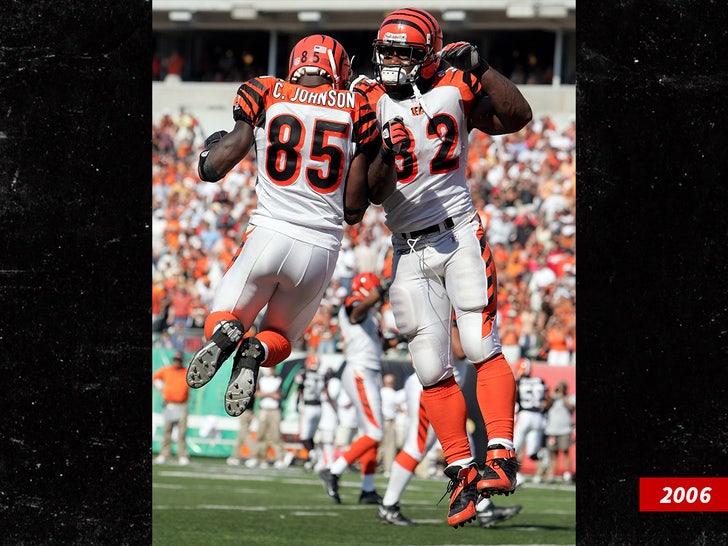 乍得·約翰遜·魯迪·約翰遜（Chad Johnson Rudi Johnson）Sub Getty Swipe 1