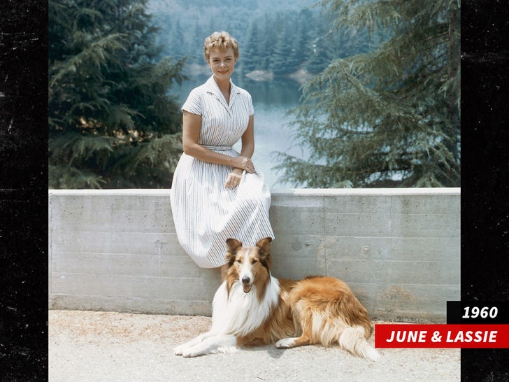 June Lockhart lassie sub getty swipe