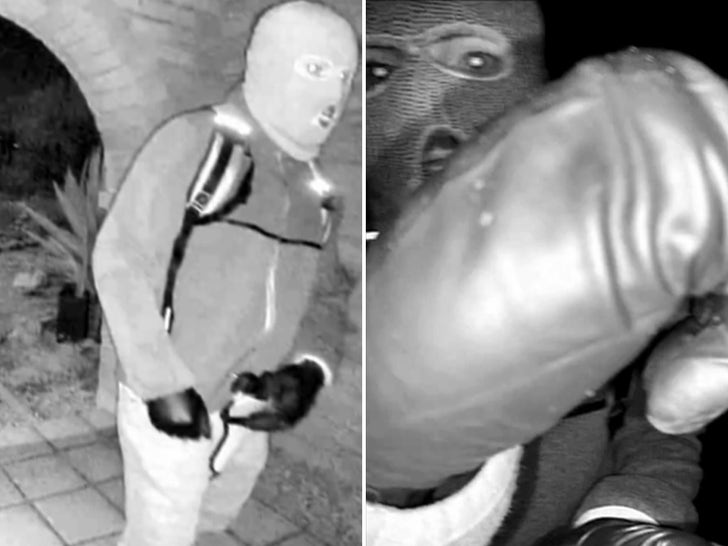 Nancy Guthrie Abduction Potential Suspect