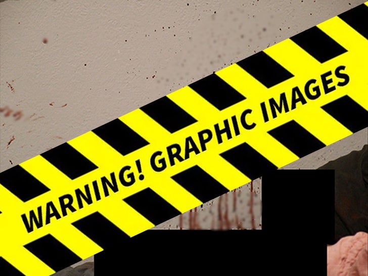 Bryan Kohberger Graphic Crime Scene Photos