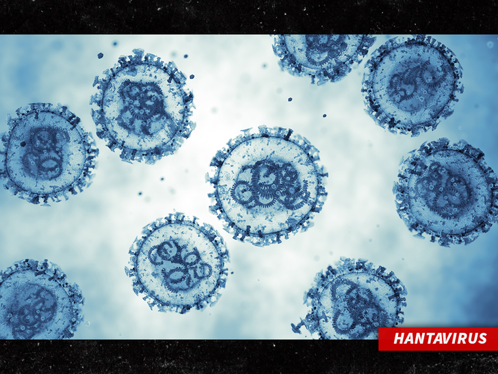 sub hantavirus getty