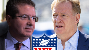Daniel Snyder, Roger Goodell Sued Over Alleged Interference W/ Sexual Misconduct Probe