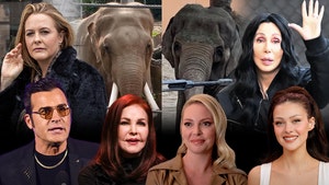 billy and tina cher alicia silverstone justin theroux katherine heigl nicola peltz beckham priscilla presley getty facebook 1