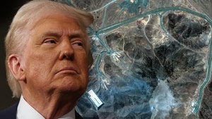 donald-trump-Maxar-Technologies-getty-1