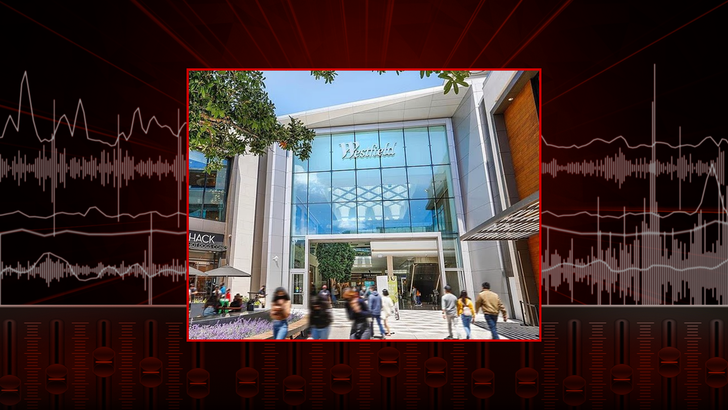 Westfield-Valley-Fair-Mall-audio-3 (1)