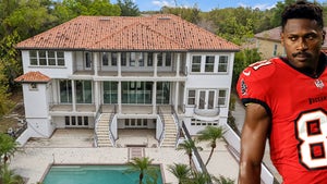 0317-Antonio-Brown-Home-PRIMARY