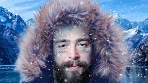 post malone alaska getty tmz 1