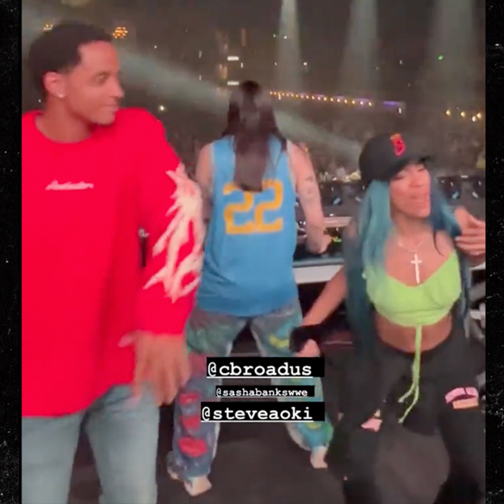 2048px x 2048px - WWE's Sasha Banks Parties With Steve Aoki At Concert After Suspension