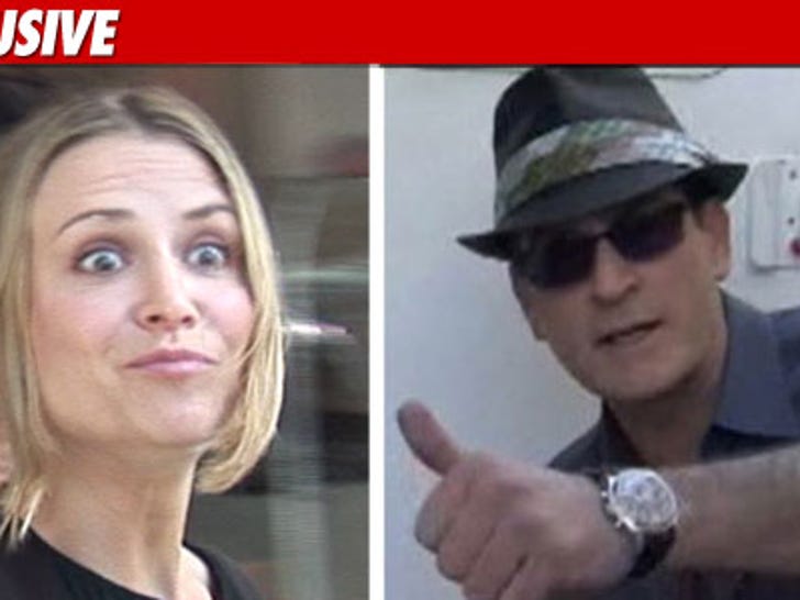 Charlie Sheen Brooke Mueller Custody Agreement