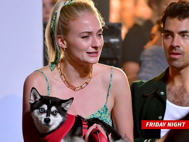 Joe Jonas, Sophie Turner Adopt Husky Named Waldo: Pics