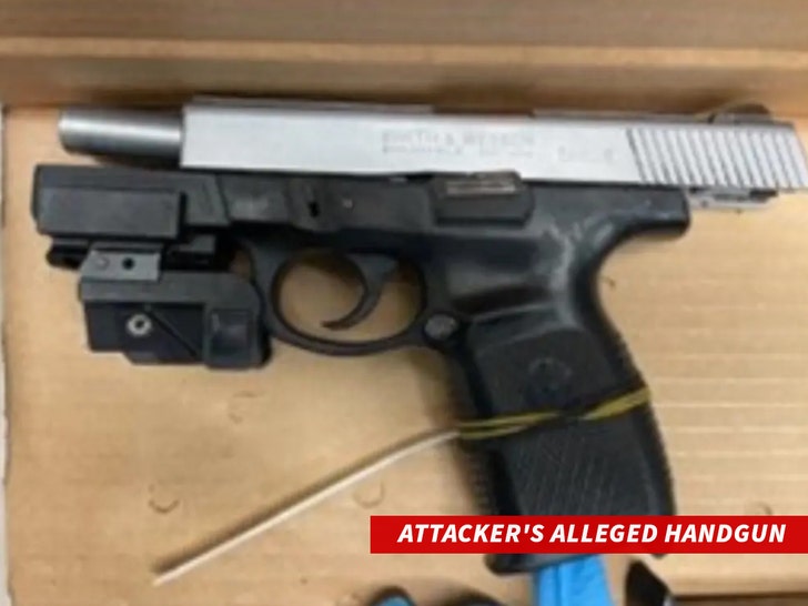 Attacker's Alleged Handgun Supreme Court Justice Sotomayor