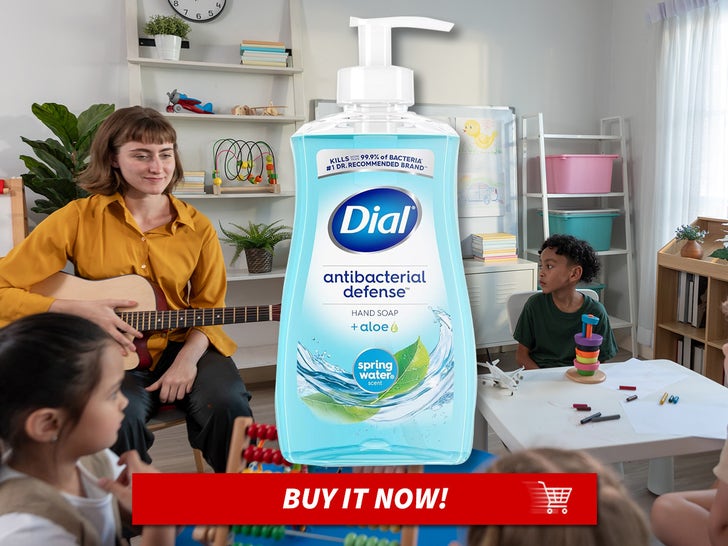 Dial-Antibacterial-Liquid-Hand-Soap-MAIN