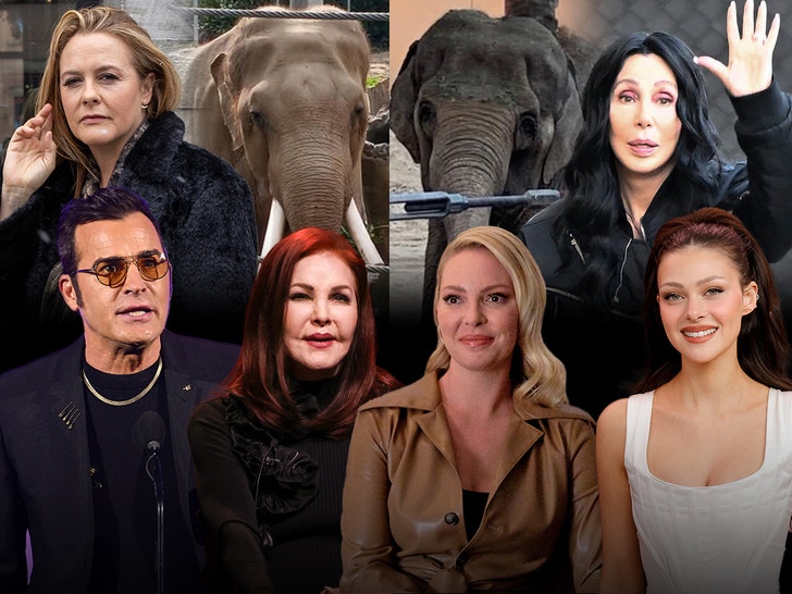 billy and tina cher alicia silverstone justin theroux katherine heigl nicola peltz beckham priscilla presley getty facebook 1