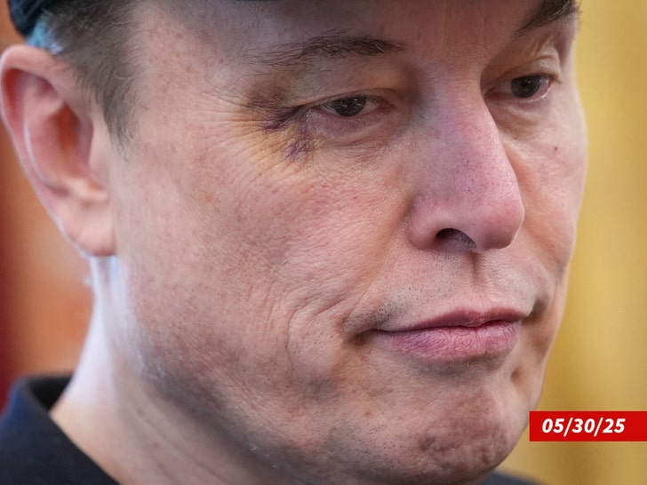 Elon Kasturi Casa Branca Branca Getty 2