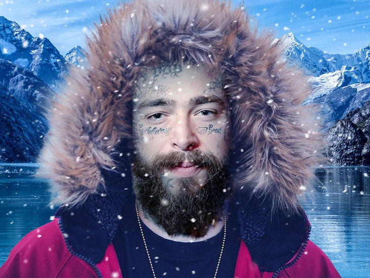 post malone alaska getty tmz 1