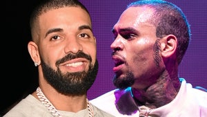 Drake Cleared in Chris Brown's No Guidance Lawsuit