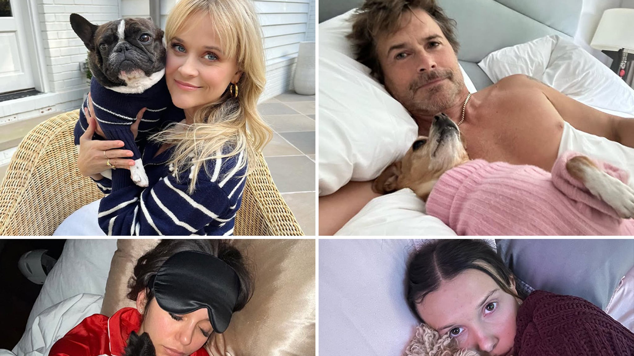 Celebs Cuddling Dogs for International Dog Day ... Ruff Life!