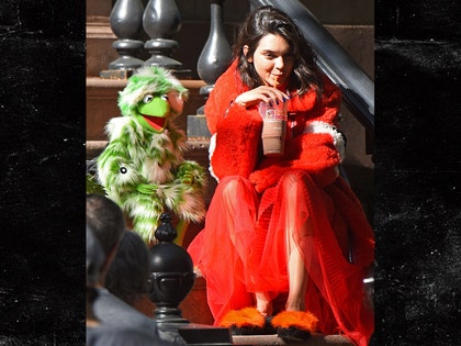 0502_Kendall-jenner-sesame-street_BACKGRID