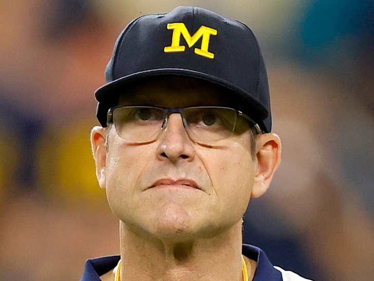 0719-jim harbaugh-getty2