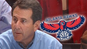 Atlanta Hawks Owner Bruce Levenson -- I Pulled a Donald Sterling ... Outs Himself for Super Racist Email
