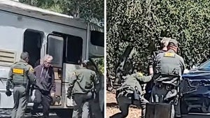 Andy Dick Arrested on RV Livestream