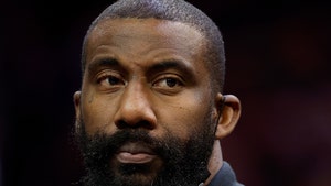 Amar'e Stoudemire Domestic Violence Charges Dropped