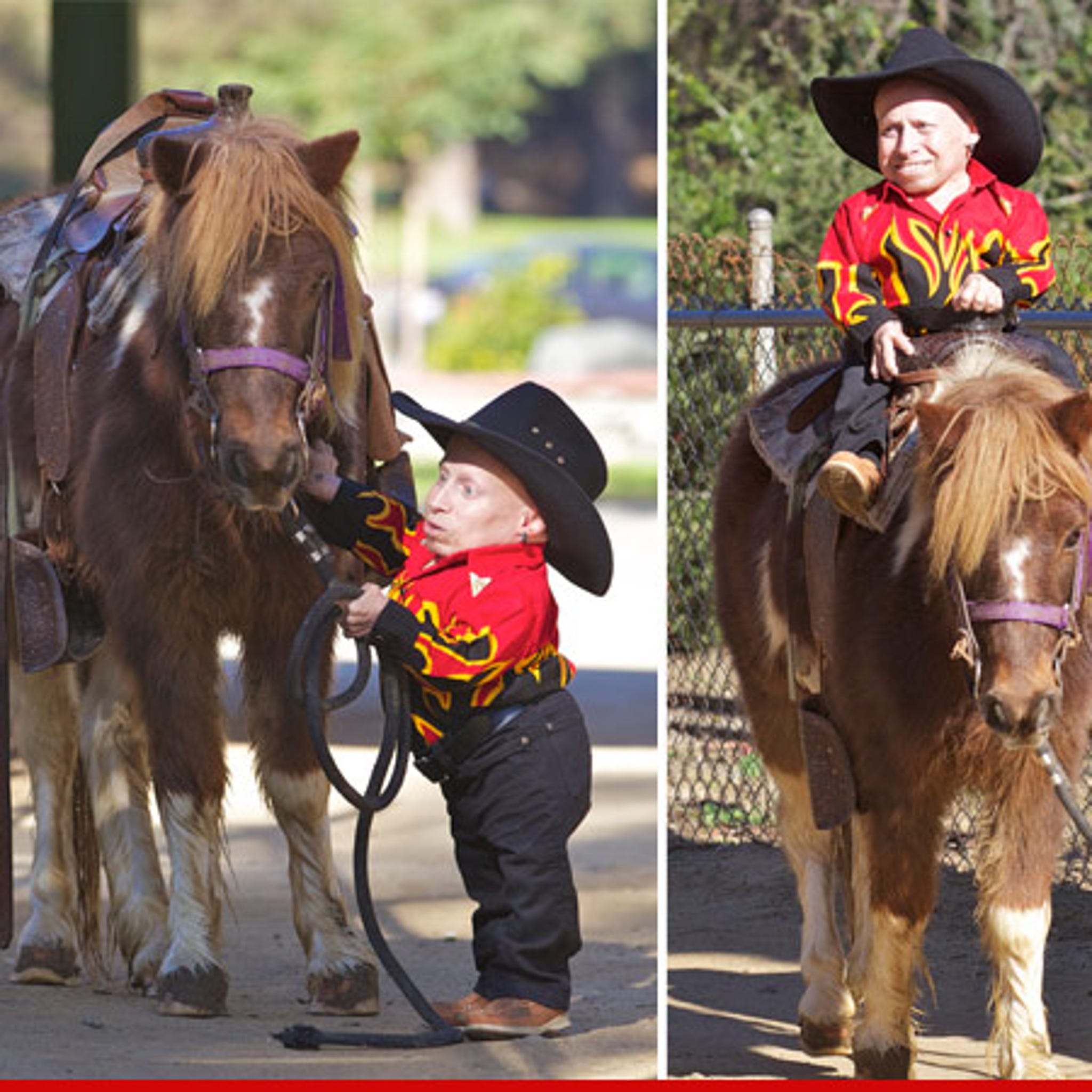 Austin Powers Cowboys