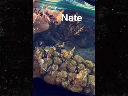 0901-nate-diaz-snapchat-01