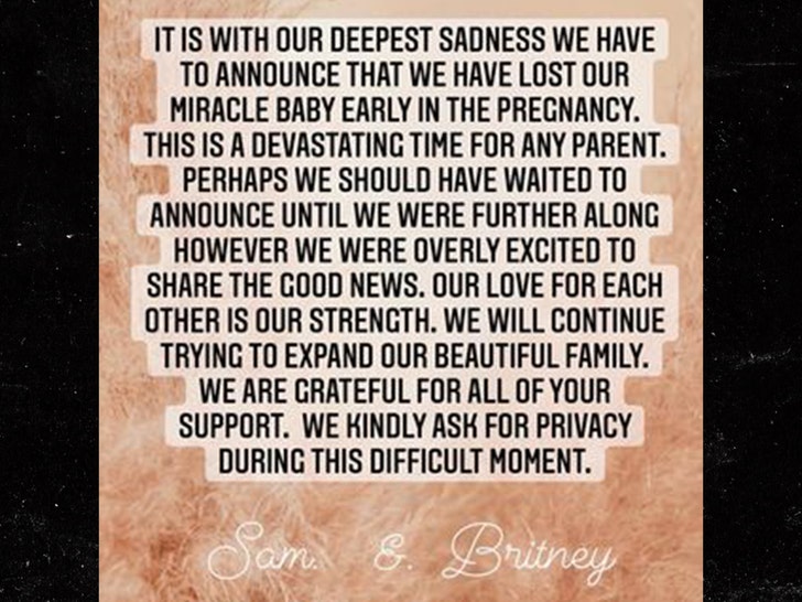 britney spears statement