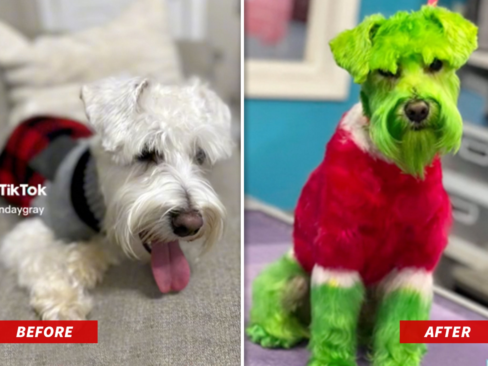 what kind of dog does the grinch have