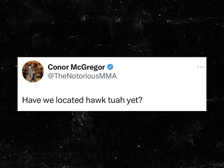 Conor McGregor and Hawk Tua Geer