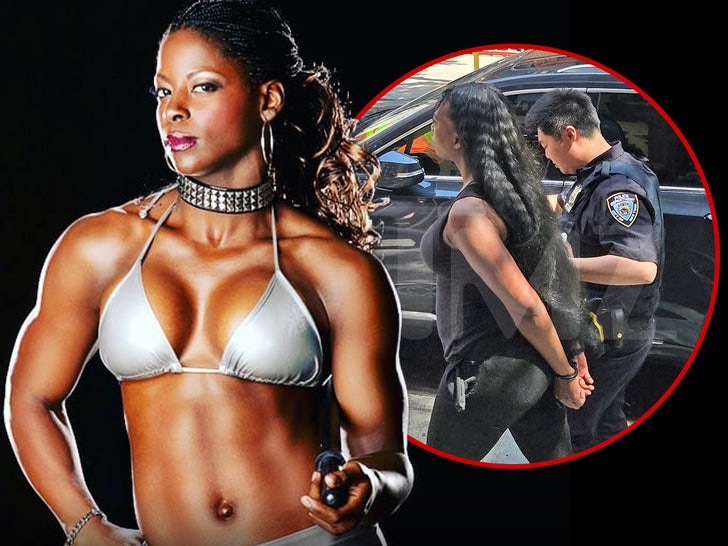trenesha biggers rhaka khan wwe main composite