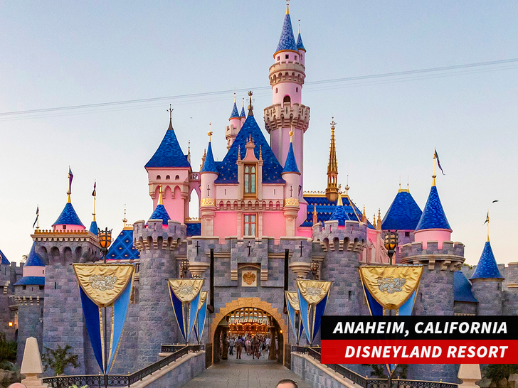 disneyland sub getty