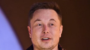 Elon Musk Wins Defamation Trial Over 'Pedo' Comment