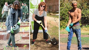 Stars Going Green -- Planting Pics