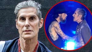 perry farrell fight