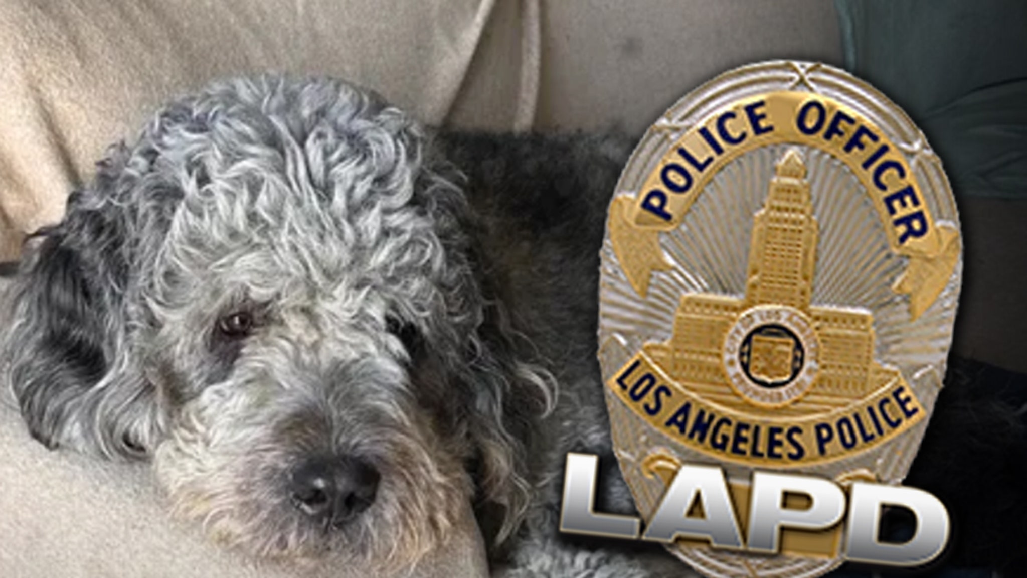 LAPD Dog Shooting: Neighbor Who Called 911 About Knicks Celebration Apologizes LAPD Dog Shooting: Neighbor Who Called 911 About Knicks Celebration Apologizes