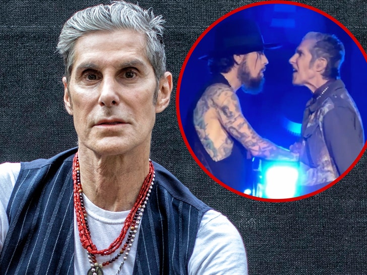 perry farrell fight