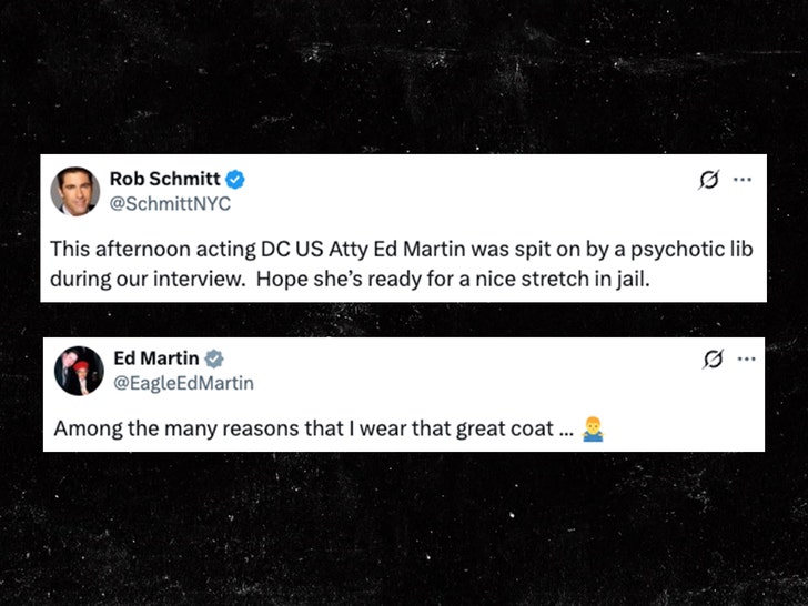 ed martin rob schmitt spitting incident x 1