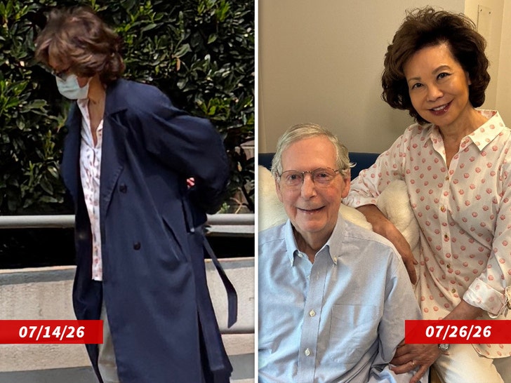 sub-Elaine-Chao-mitch-mcconnell-backgrid-2