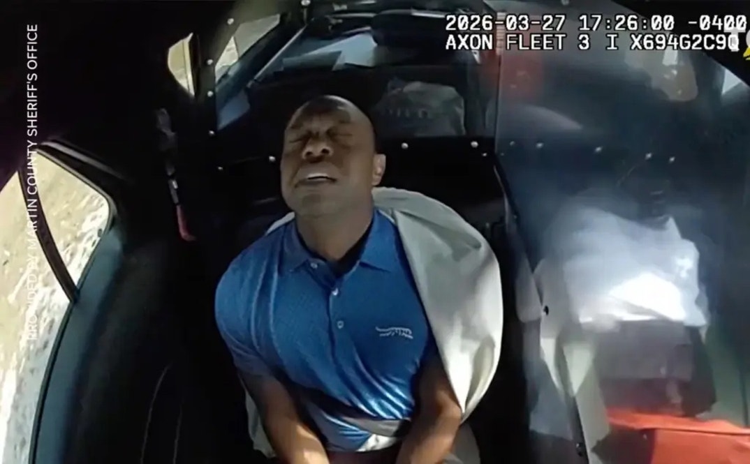 Tiger Woods Arrest 0