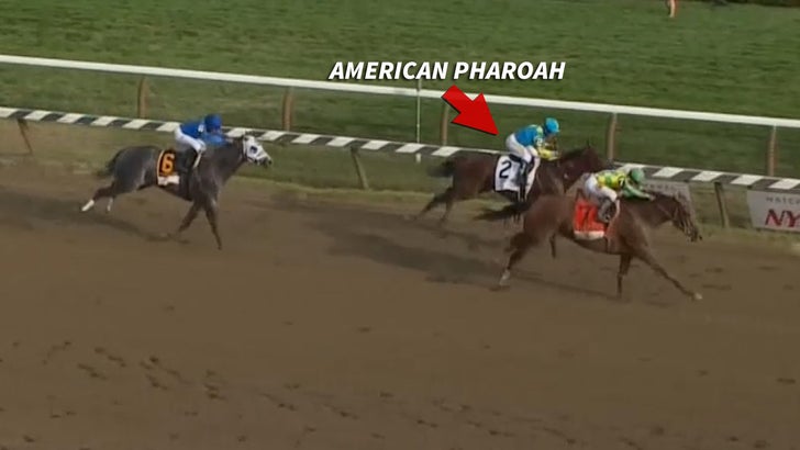 American Pharoah -- Down Goes The Champ ... Loses After Crazy Finish