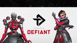 Toronto Overwatch Team Reveals Official Name, 'We're Defiant!!'