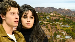 Shawn Mendes, Camila Cabello Home Break-In Has Neighbors Adding Security