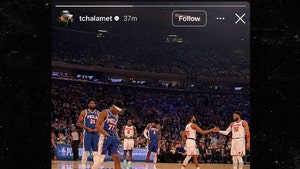 Timmy Chalamet knicks game